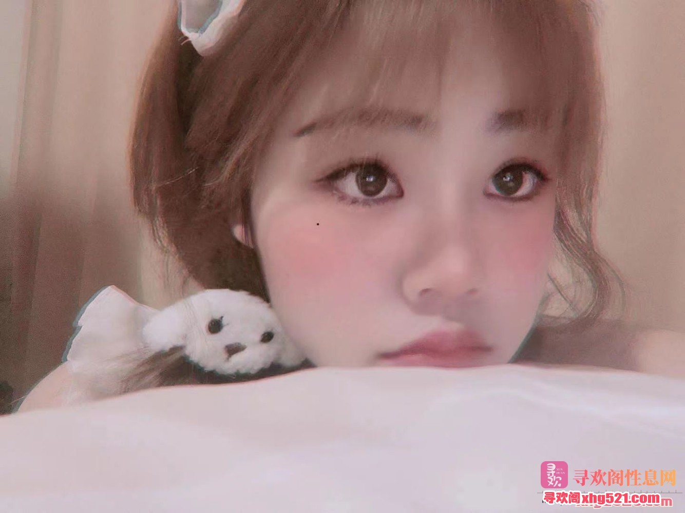 201319yfpbguepxylexfpx.jpg