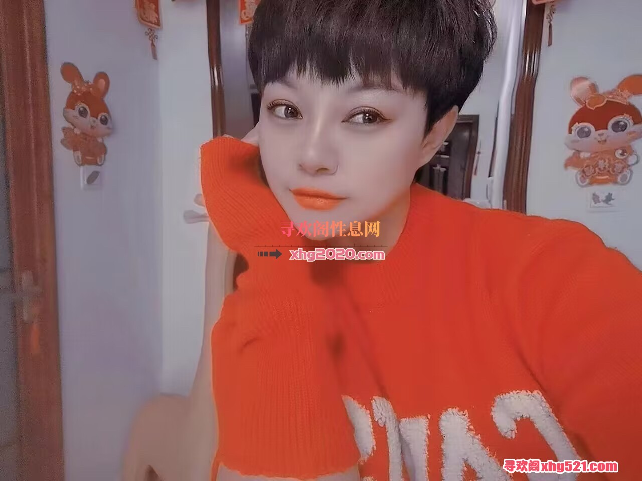 163151lxkky3x33yoe6r3y.jpeg