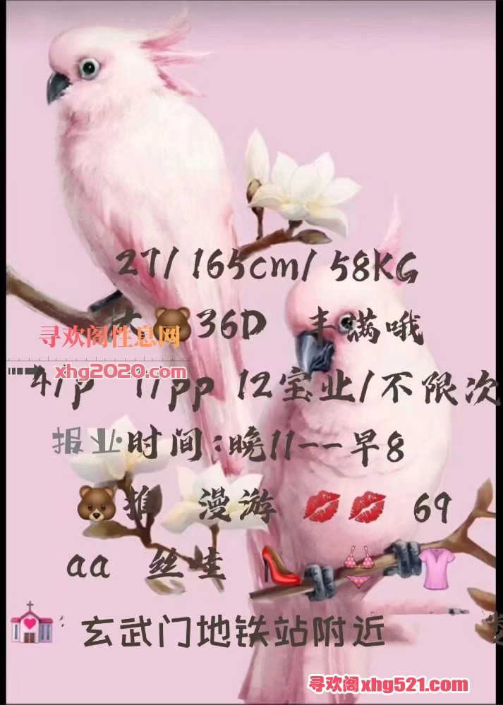 085550tmidtlrc949rll9t.jpeg
