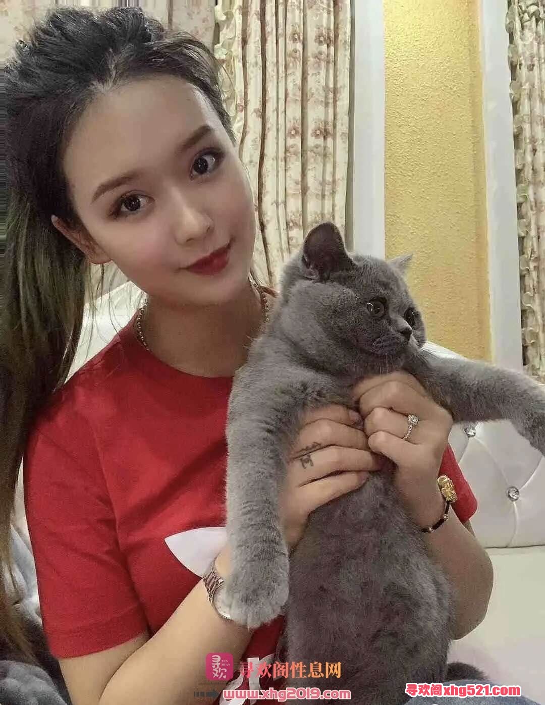 004403ohndpne00dx00z00.jpg
