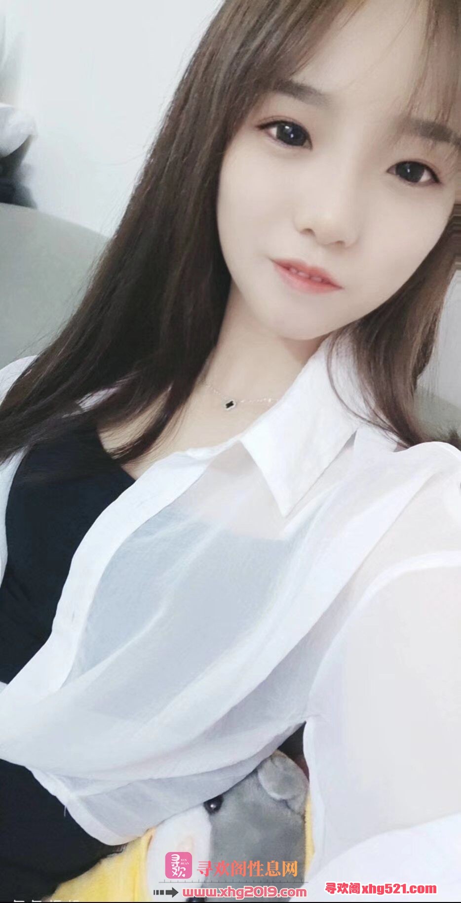 044610zsxrddrcmcszrr7s.jpg