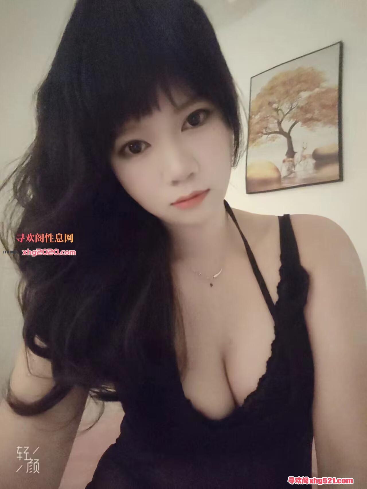 181819n3cwqzzk3szhi3gc.jpg