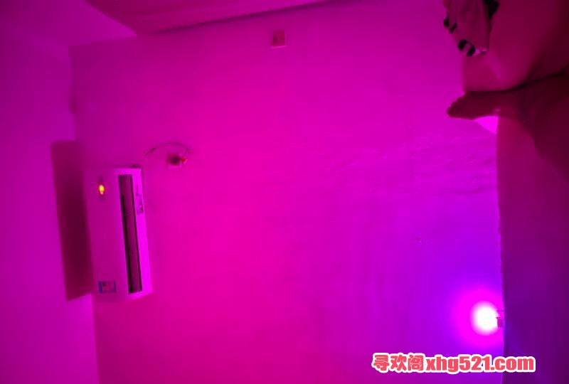 74ef85f6-34ce-473a-84b3-2cd55ddb4ed6.jpg